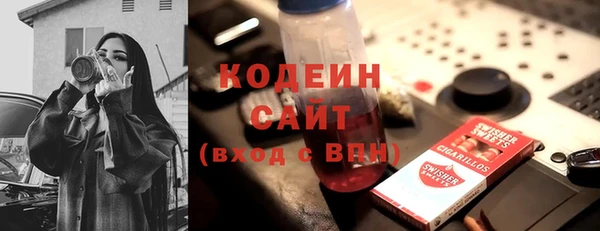 гашик Тобольск