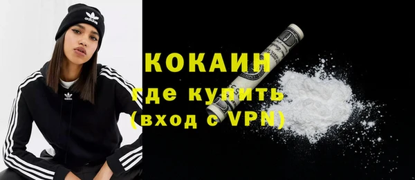 PSILOCYBIN Гусиноозёрск