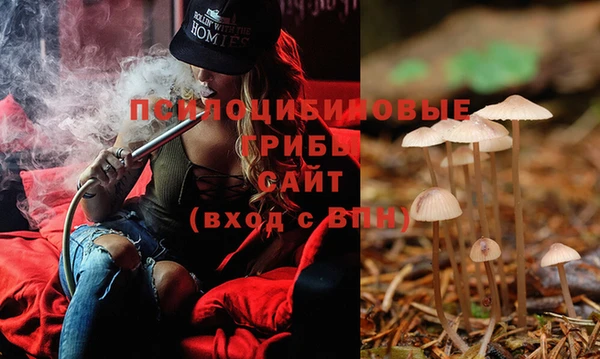 PSILOCYBIN Гусиноозёрск