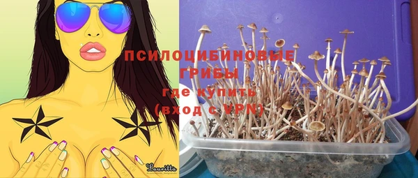 каннабис Гусев