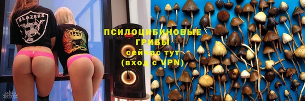 PSILOCYBIN Гусиноозёрск