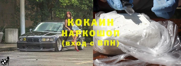 PSILOCYBIN Гусиноозёрск
